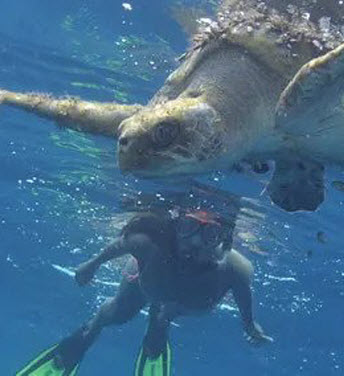 snorkeling tour sanjosecito