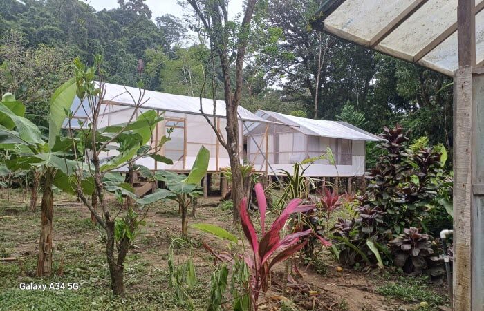 low price rooms in Corcovado