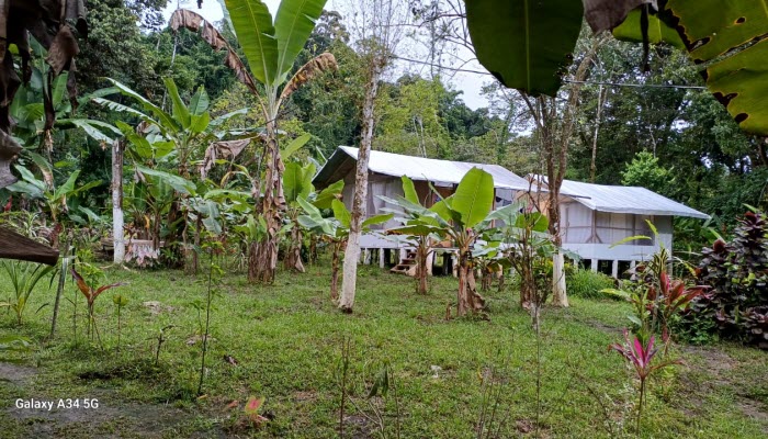 low price rooms in Corcovado