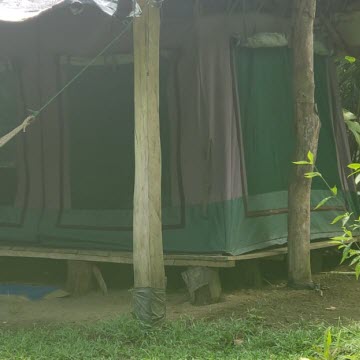 green tent drake bay costa rica