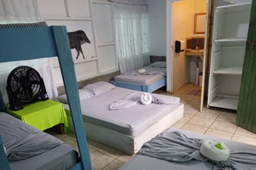 Sloth Room Drake Bay