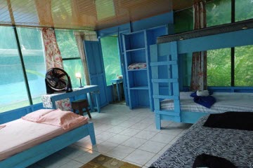 Spider Monkey Room Drake Bay