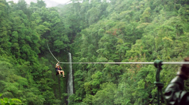canopy walk & Zip Line