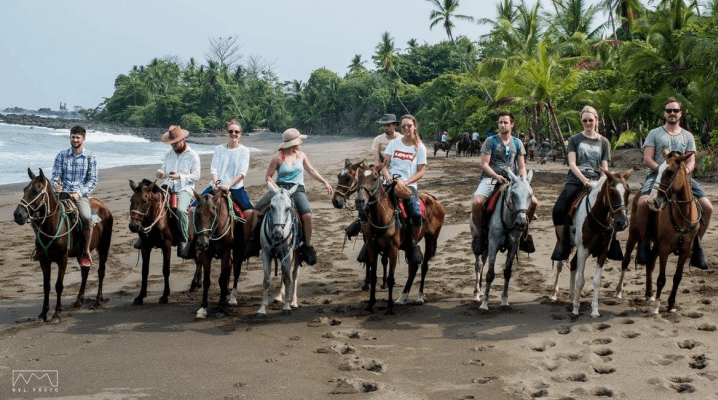 horseback riding drake bay