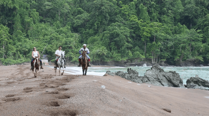 horseback riding drake bay