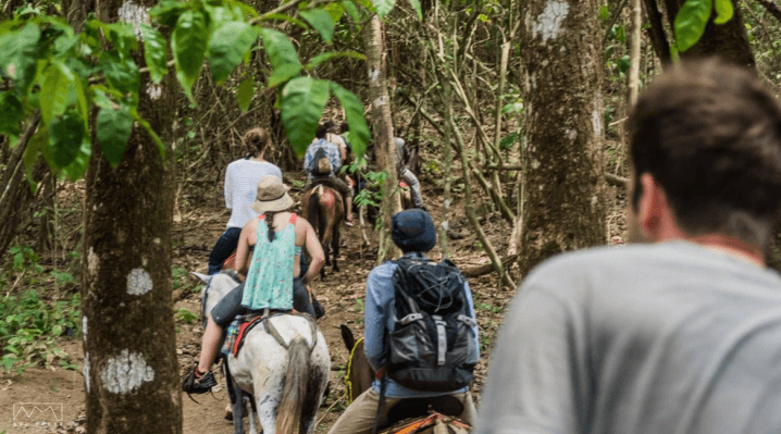 horseback riding drake bay