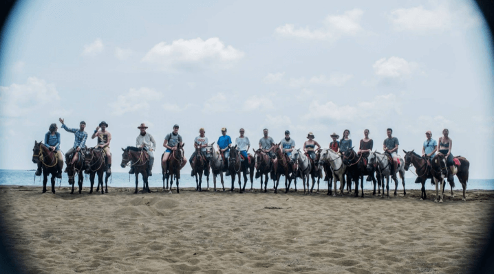 horseback riding drake bay
