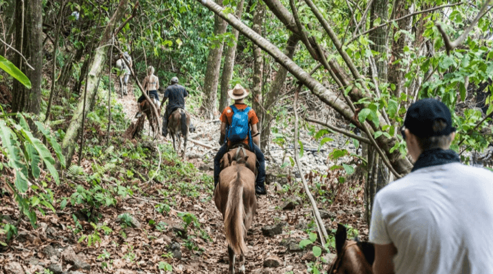 horseback riding drake bay