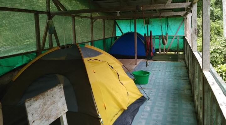 tour jungle house drake bay costa rica