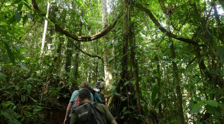 tour jungle house drake bay costa rica