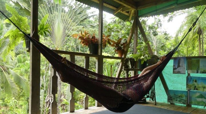 tour jungle house drake bay costa rica