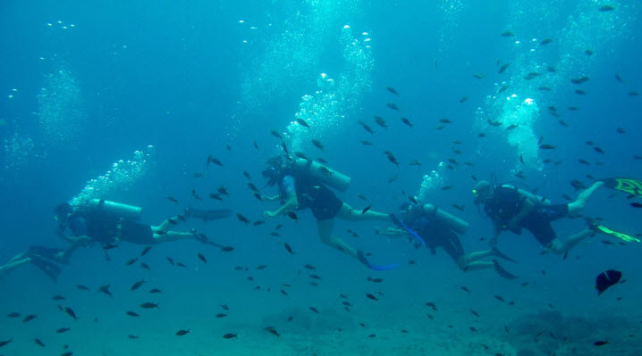 scubadiving cano island costa rica