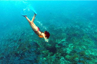 Snorkeling Cano Island drake bay