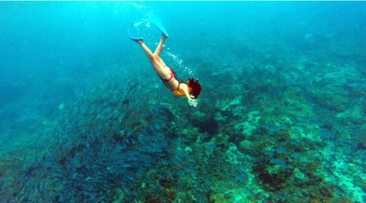 snorkeling drake bay costa rica