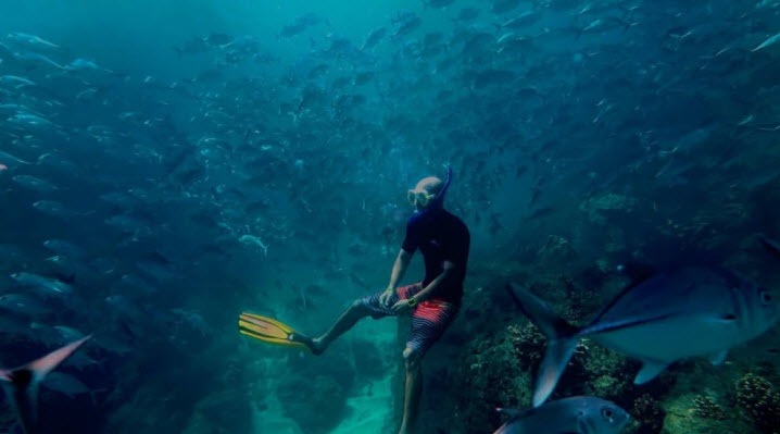 snorkeling drake bay costa rica